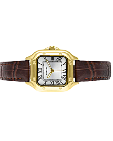 RELOJ DE MUJER CAJA ACERO DORADA CUADRODO CORREA PIEL MARRÓN